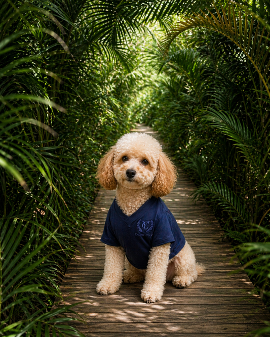 Cahuita Dog V-Neck Tee