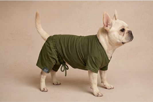 Limon Dog Swim Trunks