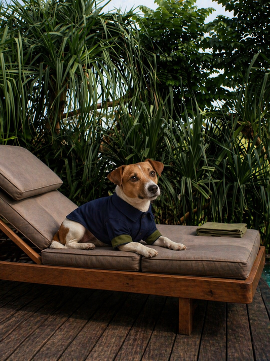 Manzanillo Dog Button-Up Resort Shirt